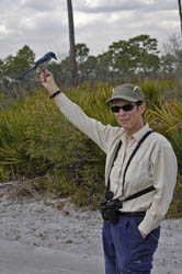 Florida Scrub Jay