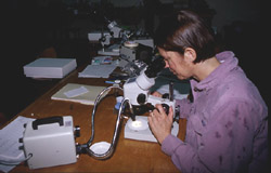 Ellyn with microscope