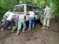 Stuck jeep